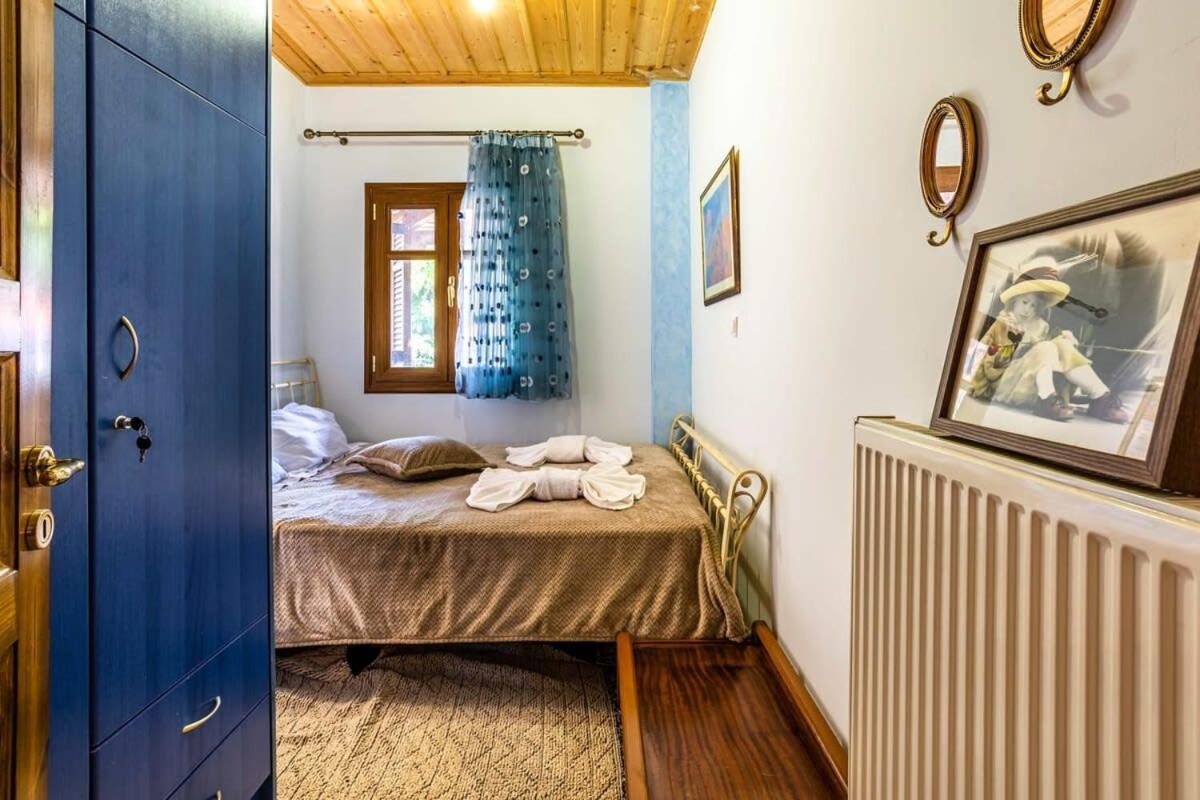 Stemnitsa Stone Residence - Comfy Mountain Getaway Zewnętrze zdjęcie